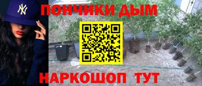 spice Жуковский
