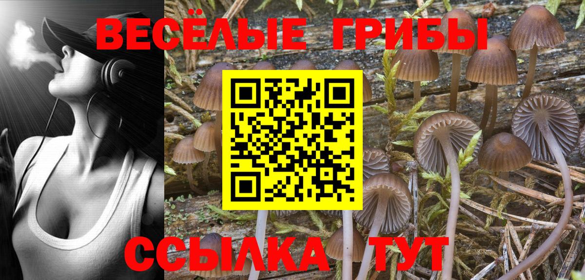 Галлюциногенные грибы Cubensis  Вход с VPN  наркота  Галлюциногенные грибы Magic Shrooms  Владивосток 