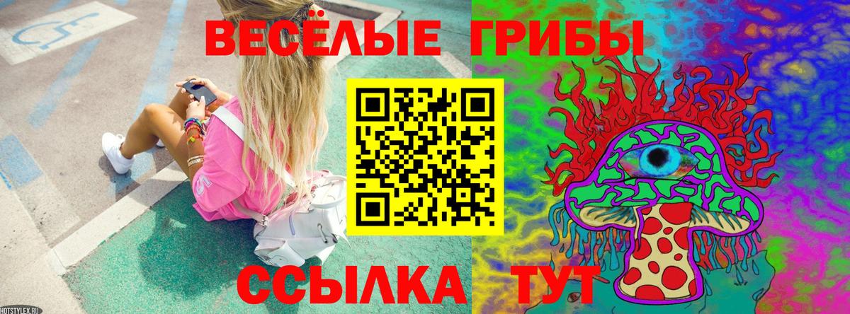 Псилоцибиновые грибы ЛСД Владивосток
